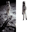 Background Remover AI 图标