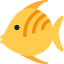 Butterfish 图标