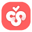 Cherry Studio 图标