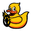 Duckietown 图标