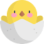 DuckyShot 图标