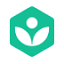 Khan Academy Khanmigo 图标