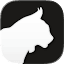 Krater.AI 图标