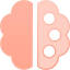 PaletteBrain 图标
